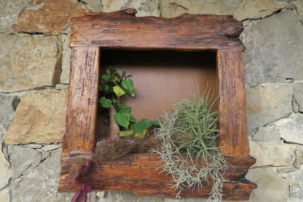 Noz Por Ca... Turismo Em Espaco Rural Alcaria  Εξωτερικό φωτογραφία